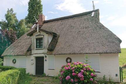 Direkt an der Elbe! Schöne Reetdachkate am Elbdeich! - Brokdorf