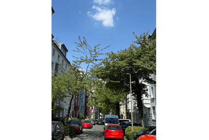 Wohnung zum Kaufen in Dortmund 649.000,00 € 160 m²
