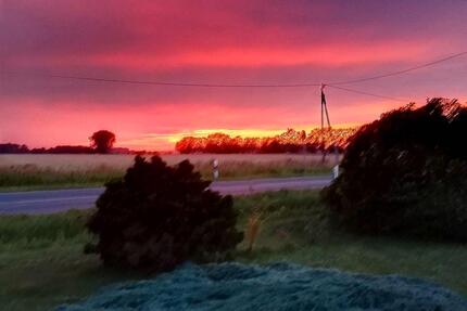 Großes Grundstück mit Haus und viel Nebengebäude. - Gransebieth