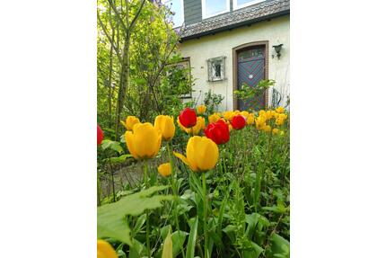 Schöne Doppelhaushälfte mit Potential in Thiede mit großem Gart - Salzgitter Ortschaft Ost