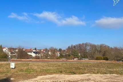 Grundstück zu verkaufen in Reinheim 299.000,00 € 494 m²