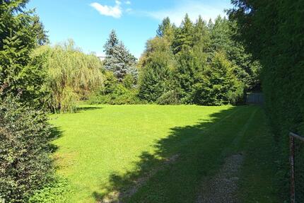 Freizeitgrundstück Weilheim Pferdekoppel Wiese zu verpachten - Weilheim in Oberbayern