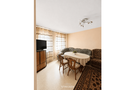Wohnung zum Mieten in Germersheim 620,00 € 43.47 m²