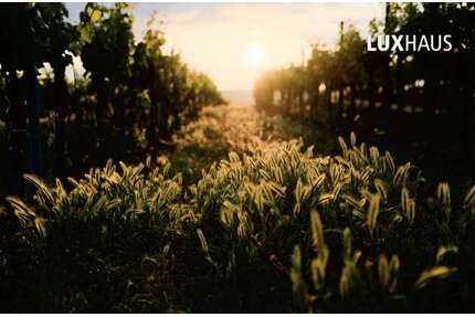 Grundstück zu verkaufen in Baden-Baden 1.850.000,00 € 3500 m²