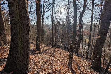 Baugrundstück in attraktiver Lage von Zwickau