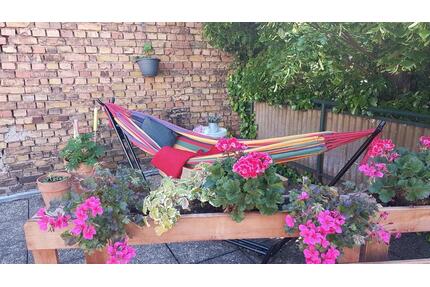 3 Zimmer Wohnung im Herzen von Rüdesheim am Rhein