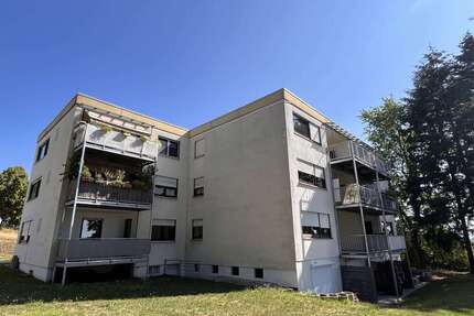 Haus zum Kaufen in Regensburg 3.490.000,00 € 1120 m²