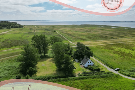 Haus zum Kaufen in Zingst 395.000,00 € 100 m²
