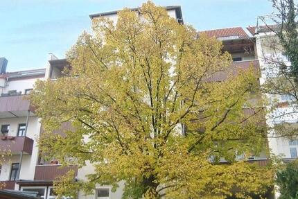 Schöne 3 Raum Wohnung mit Veranda - Leipzig Nord