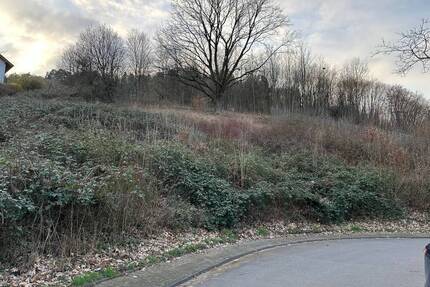 Traumhaftes Hanggrundstück in idyllischer ländlicher Lage - Breuberg Hainstadt