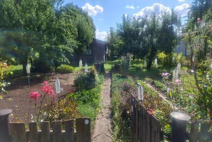 Halberstadt(Tor zum Harz) Pachtgarten -in Gartenanlage