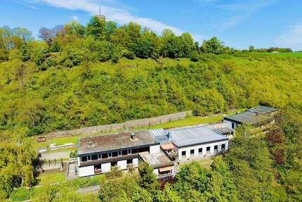 Haus zum Kaufen in Eltmann 990.000,00 € 850 m²