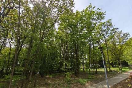 Grundstück zu verkaufen in Stromberg Schindeldorf 80.000,00 € 652 m² - Stromberg / Schindeldorf