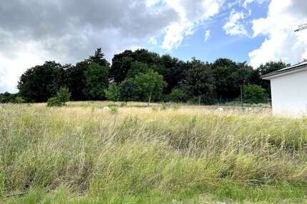 Grundstück zu verkaufen in Bassenheim 267.720,00 € 776 m²