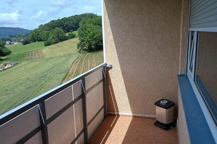 2 Zimmer Mietwohnung - 550,00&nbsp;EUR Kaltmiete, ca.&nbsp; 63,40&nbsp;m&sup2; in Fürth (PLZ: 64658)