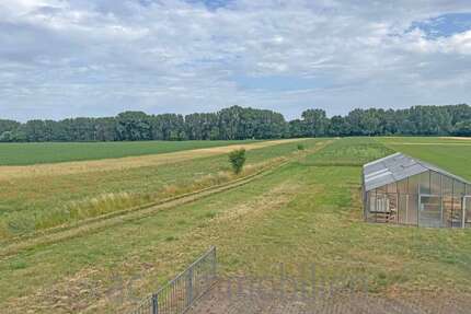 Haus zum Kaufen in Römerberg 490.000,00 € 228 m²
