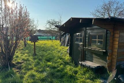 627m² Garten Wiese Obstwiese Granterath verpachten vermieten - Erkelenz