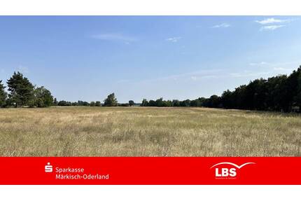 Bauträgerfreie Baugrundstücke - 87.000,00&nbsp;EUR Kaufpreis, ca.&nbsp; 0,00&nbsp;m&sup2; in Wriezen (PLZ: 16269)