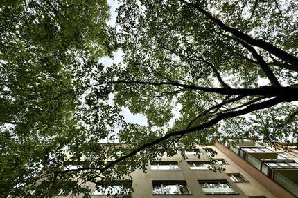 Wohnung zum Mieten in Berlin 690,00 € 24 m²