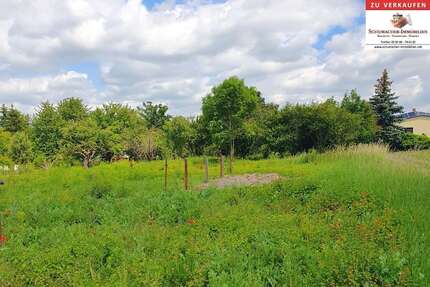 Grundstück zu verkaufen in Benndorf 78.000,00 € 3823 m²