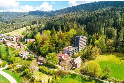 Lukrative Investmentmöglichkeit - Projektiertes Wohnareal in Alpirsbach - Alpirsbach OT Reinerzau