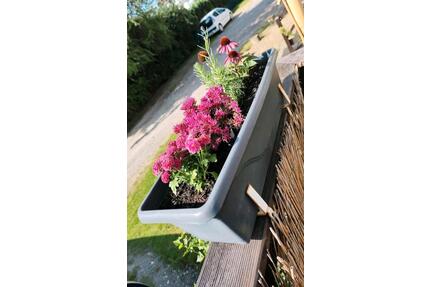 Nachmieter zum 01.06.2026 - 680,00&nbsp;EUR Kaltmiete, ca.&nbsp; 49,00&nbsp;m&sup2; in Samtens (PLZ: 18573)