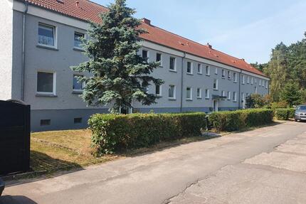 Schön Wohnen, 3-ZKB Wohnung - 320,00&nbsp;EUR Kaltmiete, ca.&nbsp; 57,46&nbsp;m&sup2; in Plattenburg (PLZ: 19339)