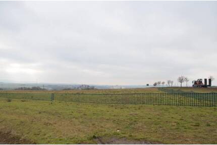 Grundstück mit Potenzial für Ihre Ideen - Ebeleben