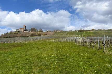 Grundstück zu verkaufen in Großbottwar 599.000,00 € 1985 m²