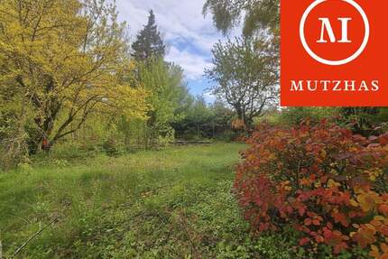MUTZHAS - Grundstück für EFH oder DHH - München Aubing-Lochhausen-Langwied