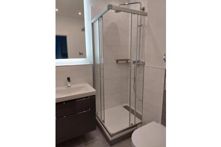 Hochwertig möblierte Wohnung in Ludwigshafen Mitte - Ludwigshafen am Rhein