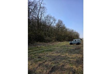 Frei vom Öl-, Gas- und Strompreis, Waldgrundstück in Schwarzenau - Schwarzach am Main