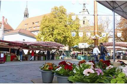Wohnung zum Mieten in Stuttgart 590,00 € 27 m²