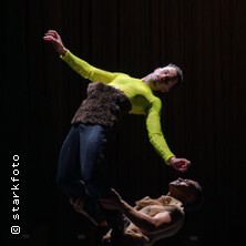 Beasts and Bodies - overhead project | Theater im Ballsaal