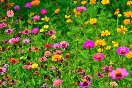 Kreuzberg: Einfamilienhaus mit Einliegerwohnung zu vermieten! - Kronach