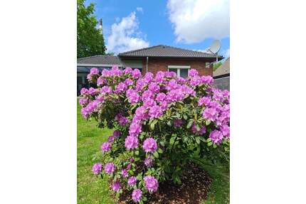 Provisionsfreier Bungalow an der Nordseeküste: Barrierefrei, Kernsaniert & Voll Möbliert - Hemmingstedt