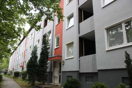 Wohnung zum Mieten in Witten 348,98 € 65.23 m²