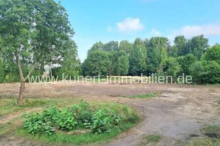 Grundstück zu verkaufen in Plötz 68.000,00 € 1867 m²
