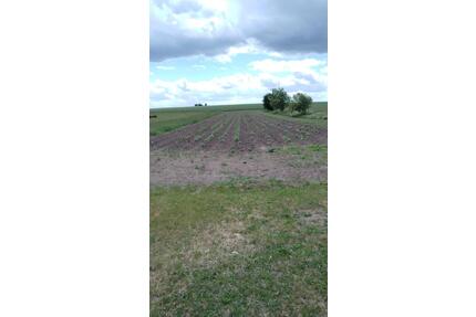 Parzelle für Selbstanbau - 100,00&nbsp;EUR Kaltmiete, ca.&nbsp; 0,00&nbsp;m&sup2; in Fürstenberg/Havel (PLZ: 16798)