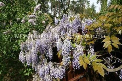 Wildau - Rarität - Schönes Grundstück Am Wildgarten in Wildau