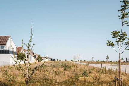 Grundstück zu verkaufen in Deidesheim 503.000,00 € 400 m²