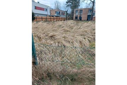 Bau reifes Grundstück Gemarkung Hellerau Klotzsche - Dresden