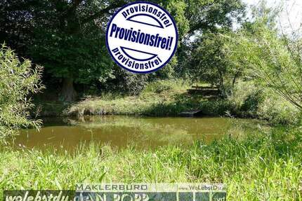 Sonniges Baugrundstück mit Angelteich! - Greiz Hohndorf