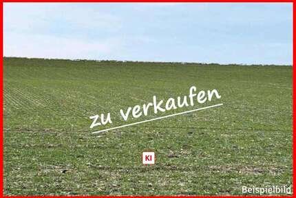 Grundstück in Plattling 278.000,00 € 27858 m²