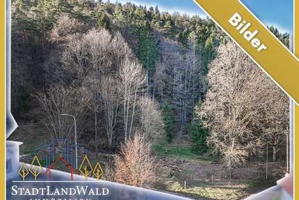 Grundstück zu verkaufen in Elmstein 165.000,00 € 10580 m²