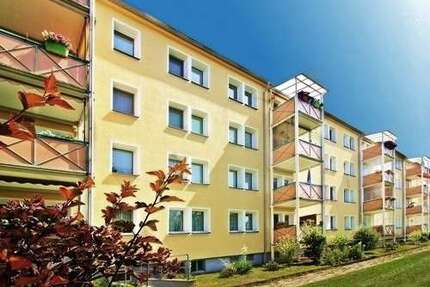 Wohnung zum Mieten in Zwickau 186,00 € 31 m²