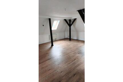 Wohnung Zwickau Weissenborn - 600,00&nbsp;EUR Kaltmiete, ca.&nbsp; 50,00&nbsp;m&sup2; in Neukirchen/Pleiße (PLZ: 08459)