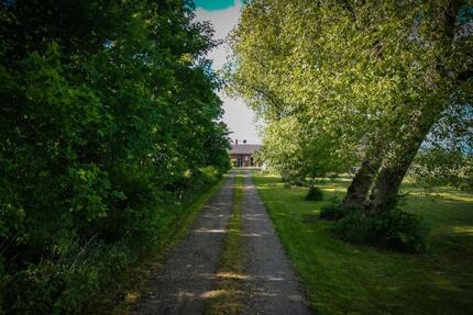 1,5 Ha Resthof in Alleinlage - 690.000,00&nbsp;EUR Kaufpreis, ca.&nbsp; 450,00&nbsp;m&sup2; in Medelby (PLZ: 24994)