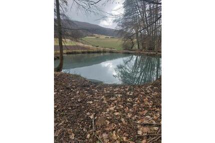 Freizeitgrundstück Teichanlage - 12,00&nbsp;EUR Kaltmiete, ca.&nbsp; 0,00&nbsp;m&sup2; in Scheßlitz (PLZ: 96110)