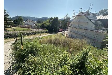 MIT AUSSICHT IN DEN SCHWARZWALD - Gengenbach